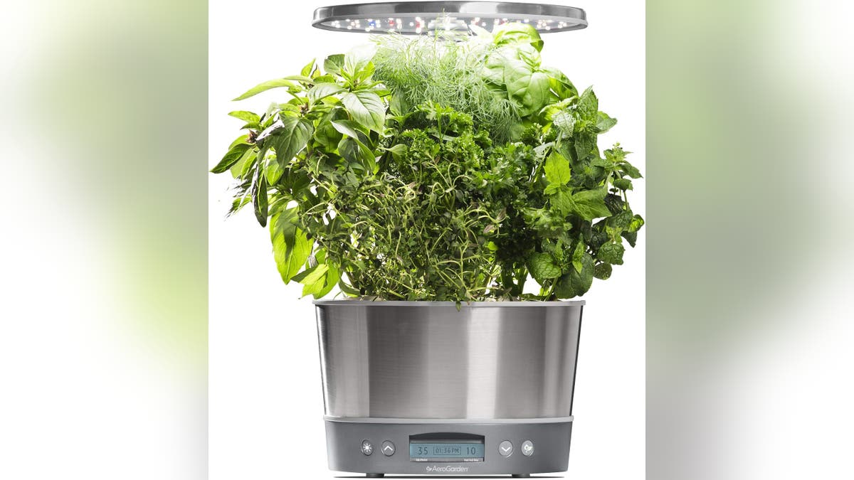 Your parents can easily grow herbs indoors with this gadget.