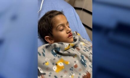 Florida boy has open heart surgery after being hit by drone at holiday show, parents say, NTSB investigating