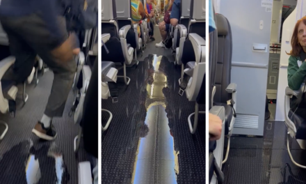 American Airlines passengers react as cabin floods with ‘disgusting’ liquid midflight