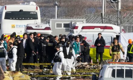 South Korea deadly plane crash: US sends investigators to country still reeling from disaster that killed 179