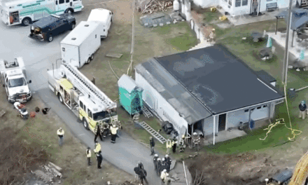 Rescuers scramble to find Pennsylvania grandma who may have been swallowed by sinkhole while searching for cat