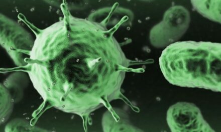 Conan the Bacterium: Researchers study microbe that can withstand extremely high radiation doses