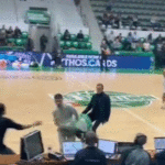 Pro-Palestinian activists storm basketball court during Israeli team’s game against France