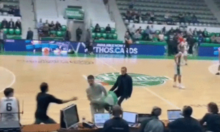 Pro-Palestinian activists storm basketball court during Israeli team’s game against France