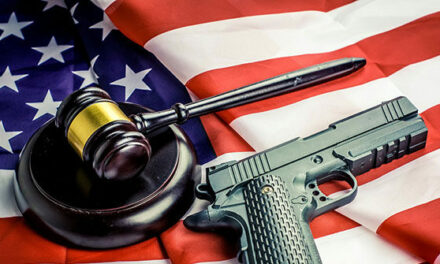 Poll: 3/4 of American Voters Want Pro-2nd Amendment Judges Nominated at Federal Level