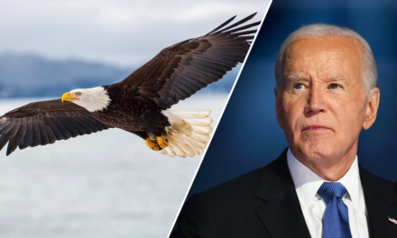 It’s official: Biden signs new law, designates bald eagle as ‘national bird’