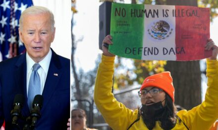 ‘Legal authority’: Senate Dems demand Biden extend protections for illegal immigrants ahead of Trump admin