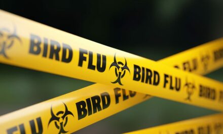 Bird flu outbreak expands, more Michigan poultry facilities exposed to virus