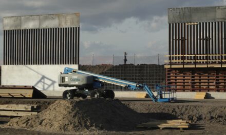 Sale of Border Wall Materials Auctioned on Government Website Has Been Taken Down