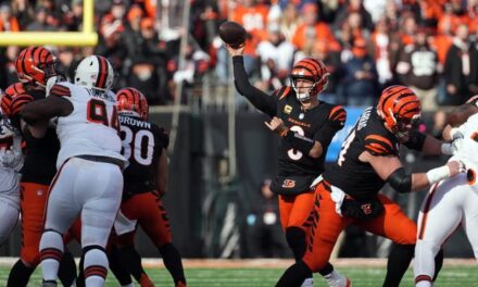 Bengals QB Joe Burrow Throws Ridiculous TD Pass To Tee Higgins