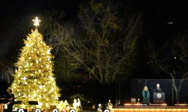 What’s Going on With Jill Biden’s White House Christmas Decorations?