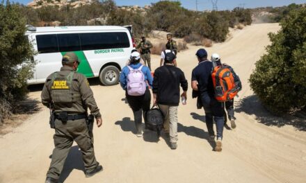 California considers ‘support network’ to shield illegal aliens from Trump’s deportation sweep