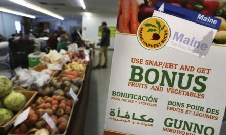 GOP Governor Seeks SNAP Reform: This Should Go National