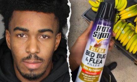 Prankster arrested after reportedly filming himself spraying food at Walmart: ‘Reckless’