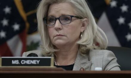 You Vote: Do you think the FBI will investigate Liz Cheney over alleged J6 witness tampering?