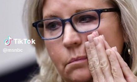 Liz Cheney Responds to President Trump’s Comments on Jailing J6 Committee Members for Perpetrating a Fraud on the American Public