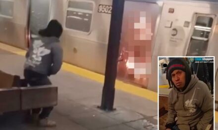 Woman Killed by Being Set on Fire in NYC Subway – Suspect Is “Migrant” From Guatemala