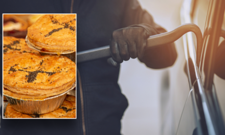 Thieves steal 2,500 pies in odd food heist gone wrong: ‘So much waste’