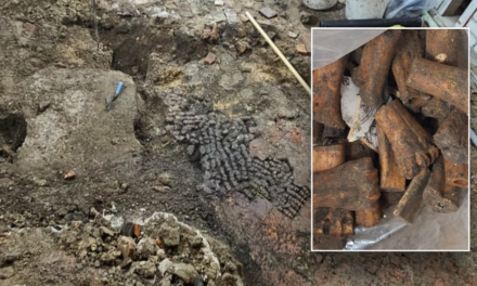 Archaeologists discover creepy floor made of bones near red-light district: ‘Very special find’