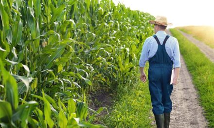 US agriculture primed to be next frontier in cybersecurity in new year, experts, lawmakers say