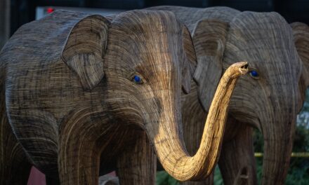 Couple Caught Having Loud Sex On Top Of Miami Beach Elephant Sculpture