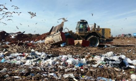 John Stossel on the Recycling Scam