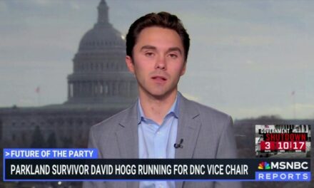 David Hogg says he received ‘an enormous amount of vitriol’ for asking about Dem outreach to young men