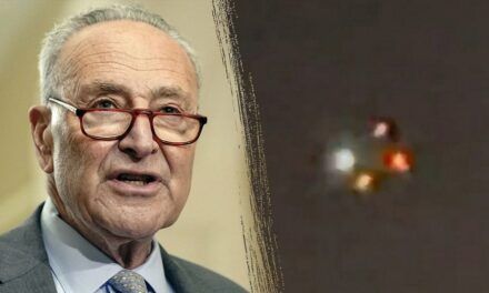 Schumer seeks legislation giving local officials authority to ‘swiftly’ respond to drone sightings