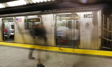 Subway Savage Who Lit Woman on Fire, Watched Her Burn to Death Should Not Have Been in the United States