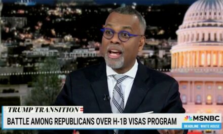 MSNBC analyst says ‘hatred’ has always been at heart of MAGA