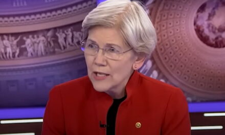 Elizabeth Warren Makes Horrible Comment About Murder of UnitedHealthcare CEO Brian Thompson – Tries to Walk it Back Later (VIDEO)