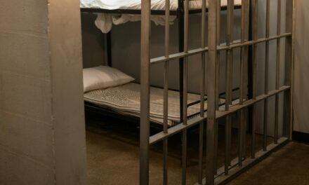 Michigan Democrats Push to Let Prisoners Out of Jail Early