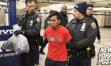 Sanctuary city New York pressured to make drastic change after illegal migrant allegedly burns woman alive