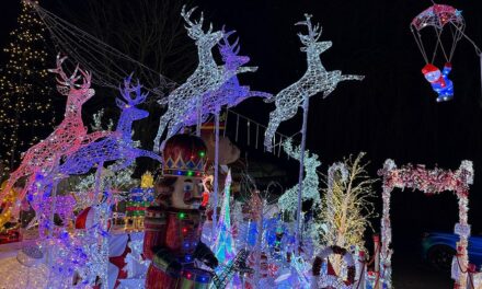 Visitors flock to winter wonderland light display in honor of family’s late son