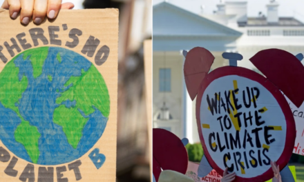 Climate justice group has deep ties to judges, experts involved in litigation amid claims of impartiality