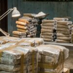 Mexico Seizes 61 Tons of Drugs: Is It a Step Forward in the Fight Against Drug Trafficking or a Misguided Approach?