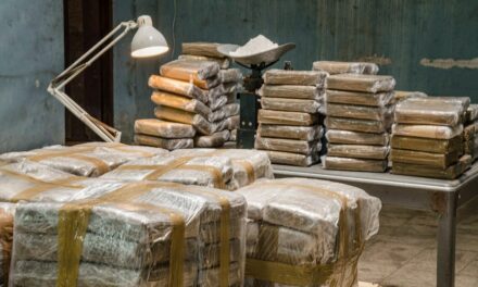 Mexico Seizes 61 Tons of Drugs: Is It a Step Forward in the Fight Against Drug Trafficking or a Misguided Approach?