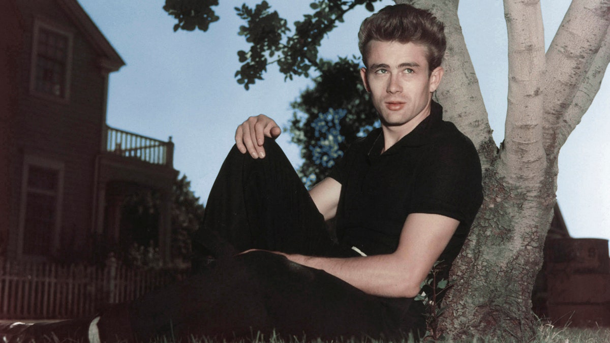 James Dean sitting on a tree wearing all black