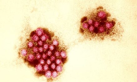 Everything You Need To Know about Norovirus as Cases Surge in U.S.