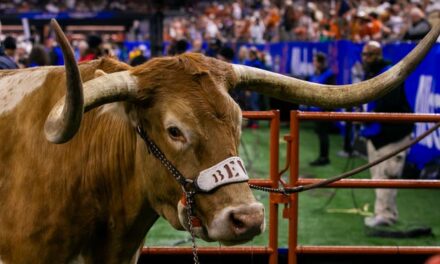 Bevo Banned! Iconic Texas Longhorns Mascot Not Allowed At SEC Title Game