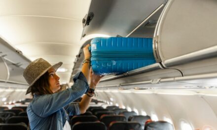 Flight passenger’s social media post on ‘overhead bin ownership’ sparks debate