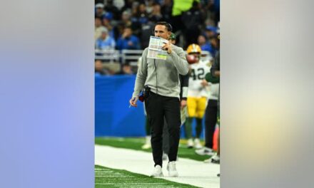 Packers Coach Caught On Video In Intense Argument With Lions Fan: WATCH