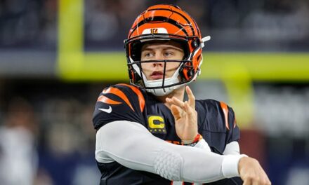 Bengals QB Joe Burrow Gives His Thoughts On Recent Home Burglary