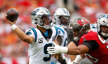 Rogue Duck Makes Cameo At Buccaneers, Panthers Game