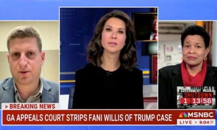 Fani Willis’ reputation ‘damaged’ after disqualification from Trump case: Georgia Reporter