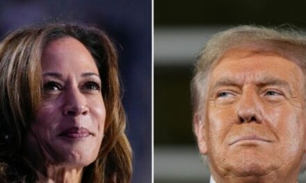 Ann Selzer Says She Did Not Rig Wildly Off Iowa Poll Showing Kamala Leading Trump