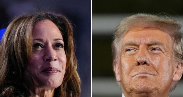 Ann Selzer Says She Did Not Rig Wildly Off Iowa Poll Showing Kamala Leading Trump