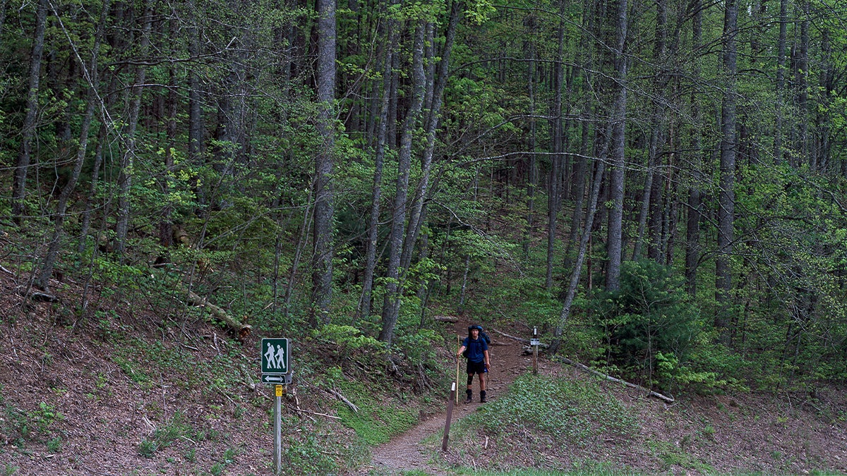 Lone hiker