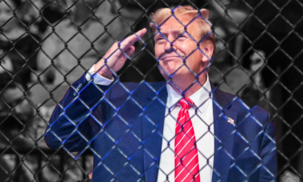 How Donald Trump helped save the UFC when no one else would