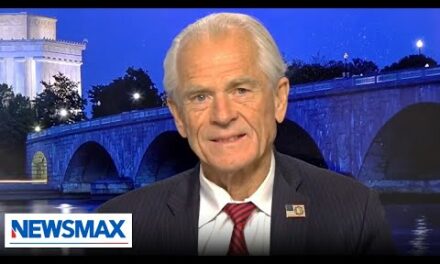 Peter Navarro: My job is to make sure the swamp is ‘implementing the Trump agenda’